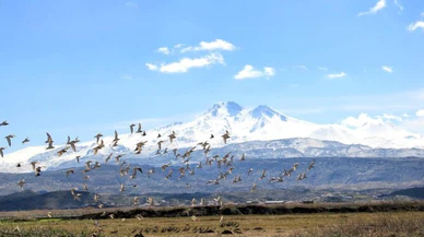 Kuşlar baharı da getirdi