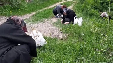 Madımak toplarken kayboldu, 30 saat sonra bulundu