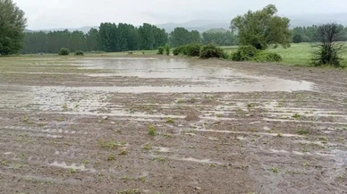 Dolu ve yağmur tarım arazilerini vurdu