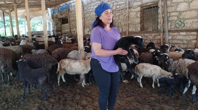 Herşey 10 koyunla başladı