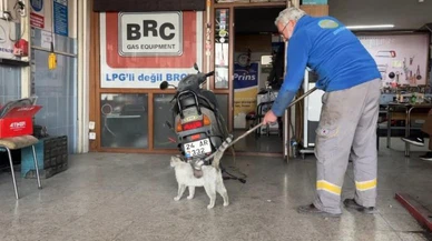 Paşa kendini her gün fırçalatıyor
