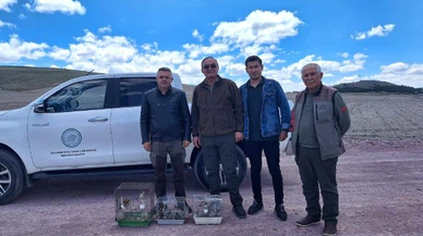 Saka kuşu bulunduranlar yakalandı