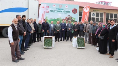 Sivas'ta sebzecilik gelişiyor