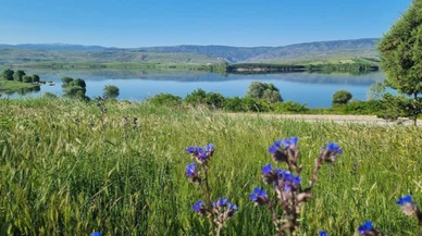 Gölova: Tarihi ve Doğal Güzellikleriyle Üç Bölgenin Kavşağında