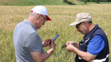 Hububat sahasında canlı yayınlı çözüm