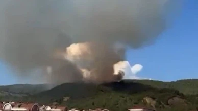 Komşuda orman yangını