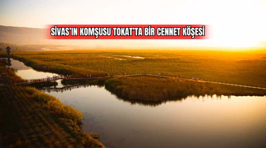 Sivas'ın Komşusu Tokat'ta Bir Cennet Köşesi 