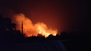 Yıldırım tarlayı yaktı!