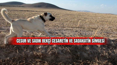 Cesur ve Sadık Bekçi Cesaretin ve Sadakatin Simgesi 