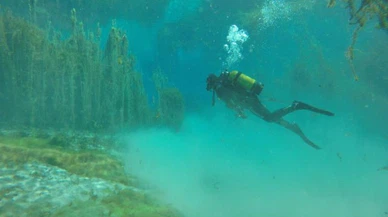 Gökpınar'da temizlik