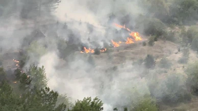 Komşuda korkutan orman yangını