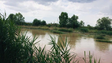 Sivas'ta Kızılırmak yağmurla birlikte taştı