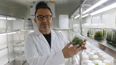 Sivas'ta kıtlığa karşı ata tohumlu çözüm