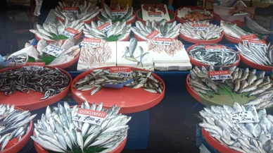 Balık sezonu iyi ki başladı, kırmızı ete alternatif