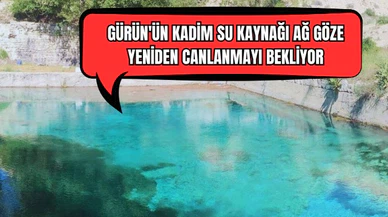 Gürün'ün Kadim Su Kaynağı Ağ Göze Yeniden Canlanmayı Bekliyor