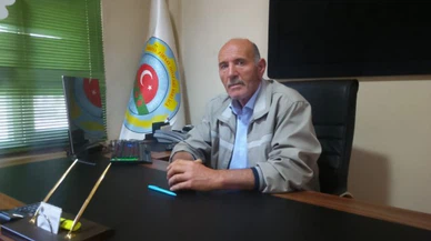 İklim değişikliği Koyulhisar domateslerini de etkiledi