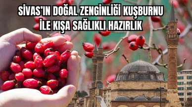 Sivas'ın Doğal Zenginliği Kuşburnu ile Kışa Sağlıklı Hazırlık