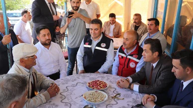 Sivas'ta antep fıstığı hasadı yapıldı