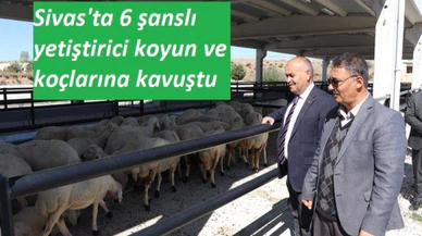 Sivas'ta koyun ve koç dağıtımı yapıldı