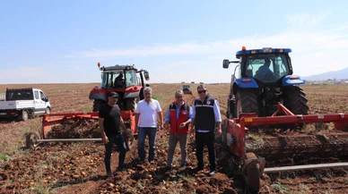 Sivas'ta patates tohum denetimi