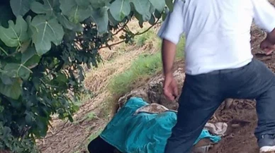 Yıldırım can aldı