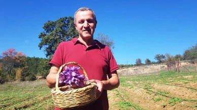 Dünyanın en pahalı baharatı çiçek açtı