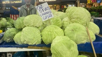 Sivas bostanlarının dev gülünün en büyük özelliği atadan