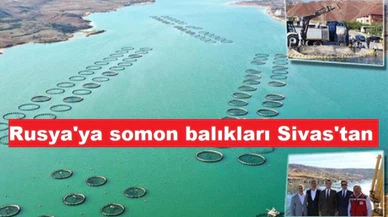 Sivas'tan Rusya'ya somon ihracatı