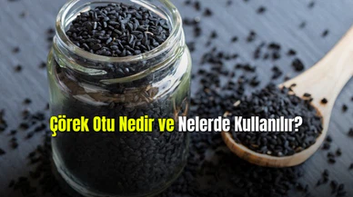 Çörek Otu Nedir ve Nelerde Kullanılır?
