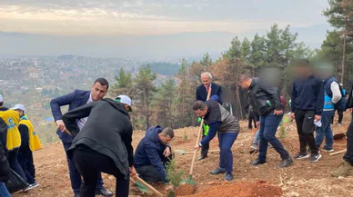 Denetimli hükümlüler fidan dikti