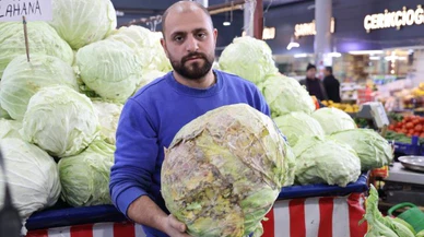 Sivas'ın lahanalarına iklim değişikliği değdi