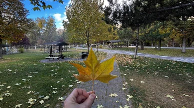 Sivas Paşabahçe'de huzur var