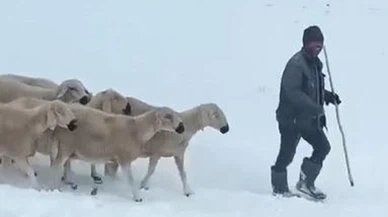 Sivas'ta meralarda mahsur kaldılar