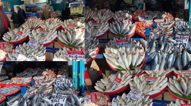 Sivas'ta Soğuk Hava Balık Bereketi Getirdi