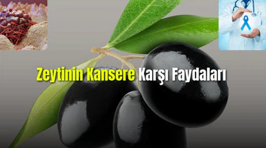  Zeytinin Kansere Karşı Faydaları 