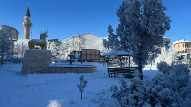 Altınyayla'da hayat durdu