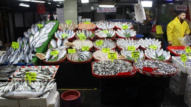 Hamsi ve istavritte bolluk fiyatlara yansıdı