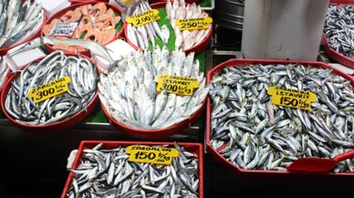 Sivas'ta ayaz balık fiyatlarına yaramadı