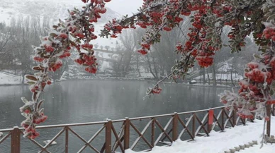 Sivas'ta donmayan tek göl