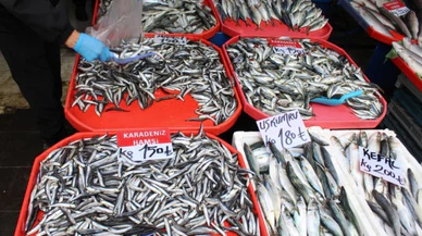 Sivas'ta hamsi ve çinekop tercih