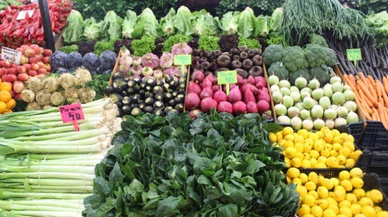 Sivas'ta sebzeye ilgi kışın daha da arttı