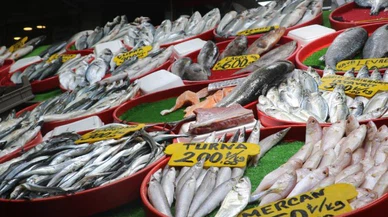 Sivas'tan depresyona balık önerisi