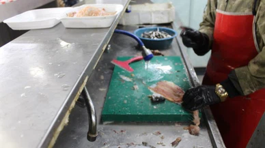 Balık almak yetmez, doğru temizlemek önemli