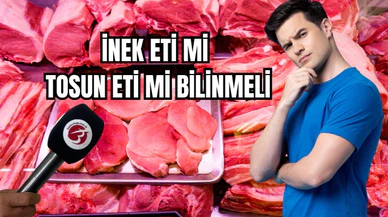 İnek eti mi tosun eti mi bilinmeli