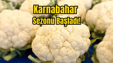 Karnabahar Sezonu Başladı!