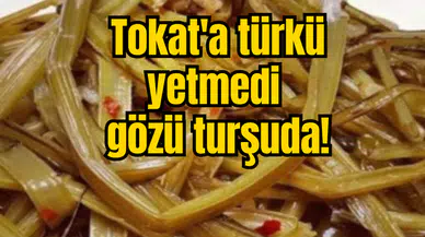 Tokat'a türkü yetmedi gözü turşuda!