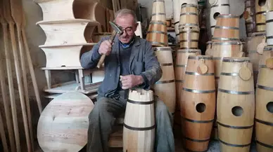 Yayıklar Artık Dekoratif