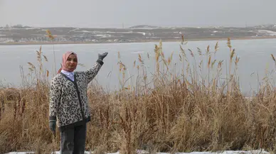 Hafik Gölü de Dondu