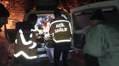 İnek Yaraladı 4 Saat Sonra Kurtarıldı