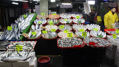 Sivas Bu Sene Palamut ve Hamsiye Doyuyor